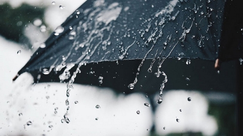 Chọn lọc 101 bài thơ vui về mưa hay nhất - Thương Hiệu & Công Luận